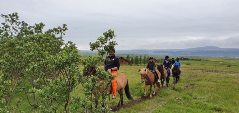 Horse Riding Tour In Reykjadalur (hotspring Valley) Booking Information