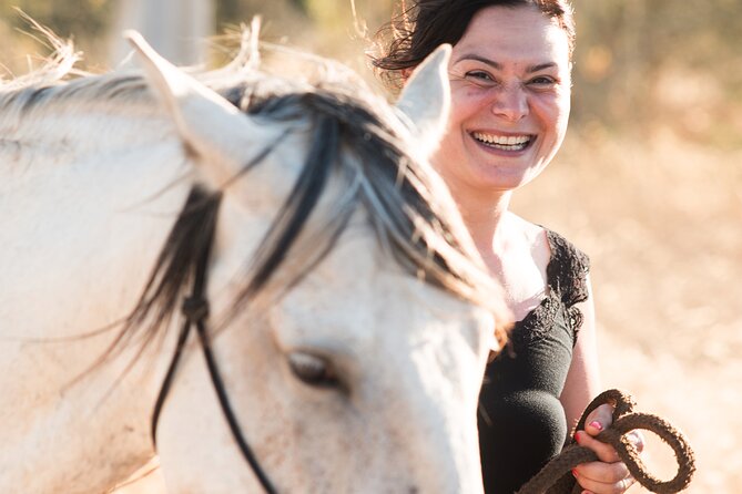 Horse Sanctuary: A Nature Walk With Rescued Horses By Your Side Tour Details