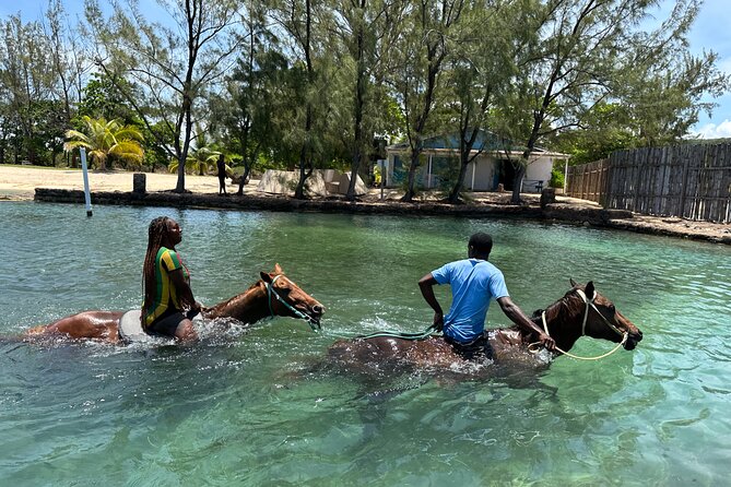 Horseback Ride And Swim Private Tour From Montego Bay Tour Overview