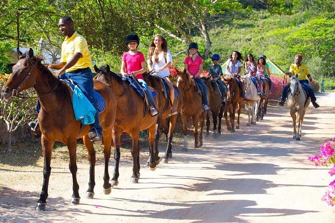 Horseback Ride N Swim And Green Grotto Adventure Tour From Falmouth Tour Overview