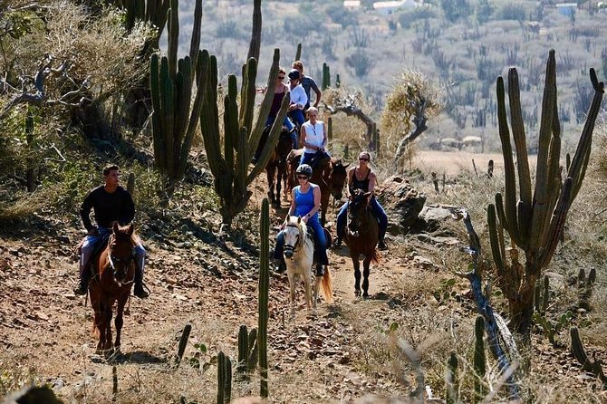 Horseback Ride Tour To Natural Pool In Arikok National Park Overview Of The Horseback Ride Tour