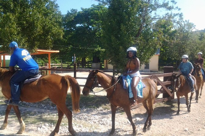 Horseback Ride Ziplining And Dunns River Falls Adventure From Montego Bay, Tour Overview