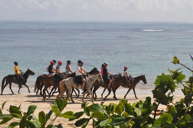 Horseback Riding Adventure Punta Cana Overview Of The Adventure