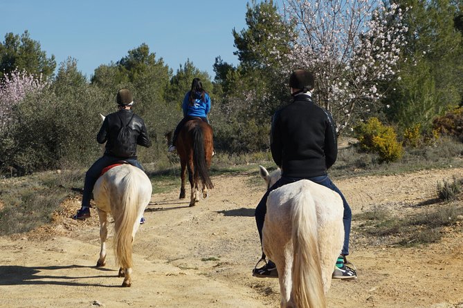 Horseback Riding And Wine Tour Activity Overview