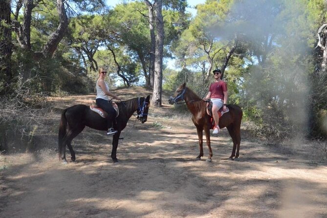 Horseback Riding by Beach or Forest in Manavgat Side - Overview of Horseback Riding