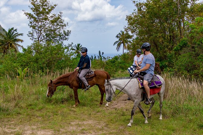 Horseback Riding In St. Lucia Included Amenities And Transportation