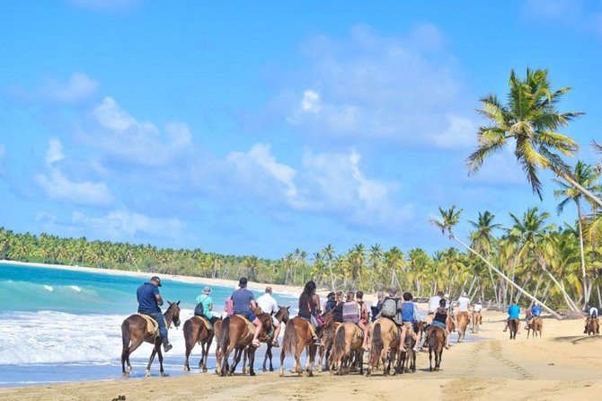 Horseback Riding / Montaña Redondatranslated Into English:horseback Riding / Round Mountain Included In The Tour