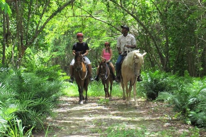 Horseback Riding On The Beach In Punta Cana (one Hour) Overview Of The Experience