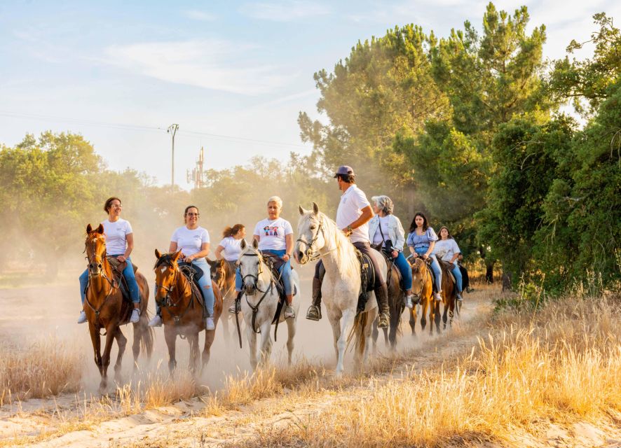 Horseback Riding on the Beach - About the Tour