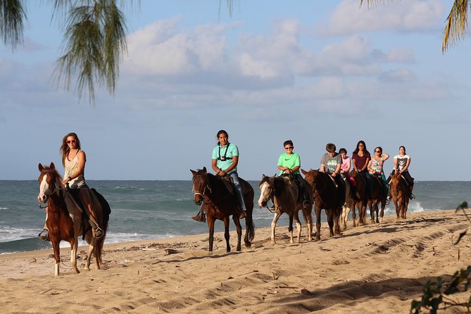 Horseback Riding Through Secluded Beaches and Tropical Forests - Meeting and End Point