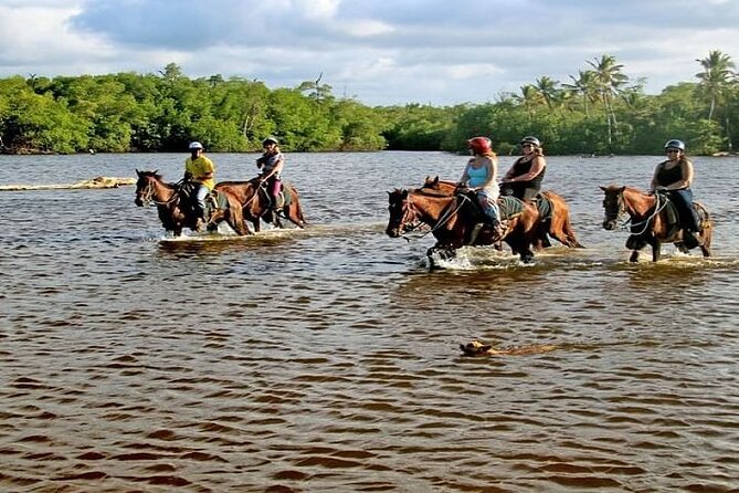 Horseback Riding To Maimon River From Punta Cana Meeting And Pickup Details