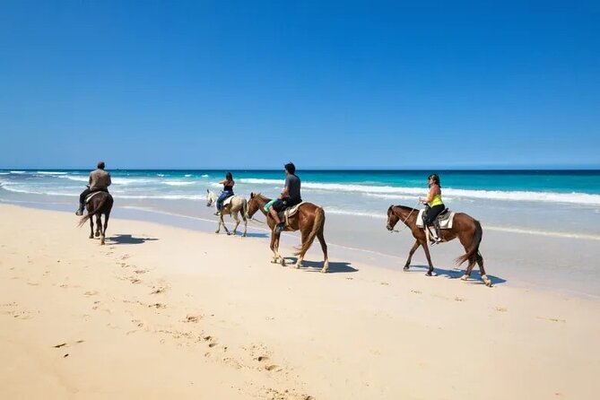 Horseback Riding Tour From Punta Cana - Traveler Information