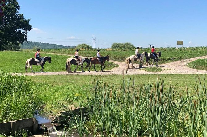 Horseback Riding Tour In Brasov - Ride Through Fields, Forests & Hills - Highlights of the Experience