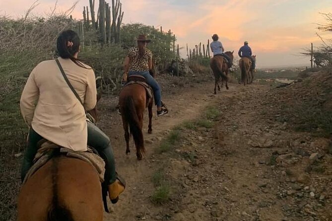 Horseback Riding Wariruri Beach Tour In Aruba Overview Of The Tour