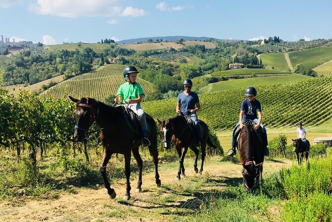 Horseback Riding With Wine Tour From Florence Activity Details