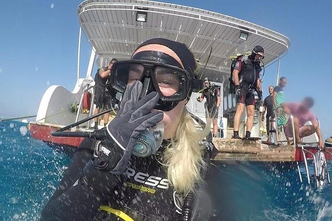 Hurghada Daily Scuba Dive Trip - Overview of the Dive Trip