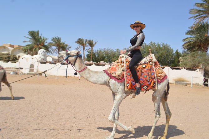 Hurghada: Stargazing, Camel Ride, Quad Bike, Bedouin Dinner, Show Desert Quad Bike Experience