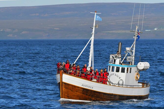 Husavik Family-Owned and Operated Whale Watching - Overview of the Company