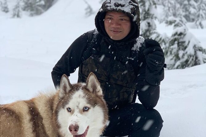 Husky Hikes Private Mountain Tours Private Transportation And Pickup