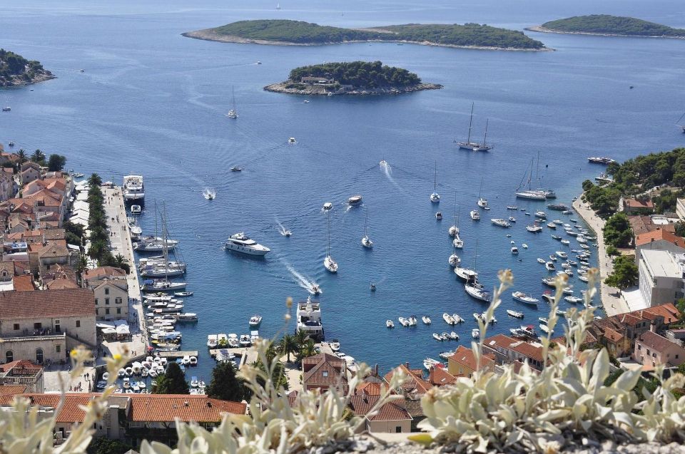 Hvar: Private Walking Tour - Location and Meeting Point