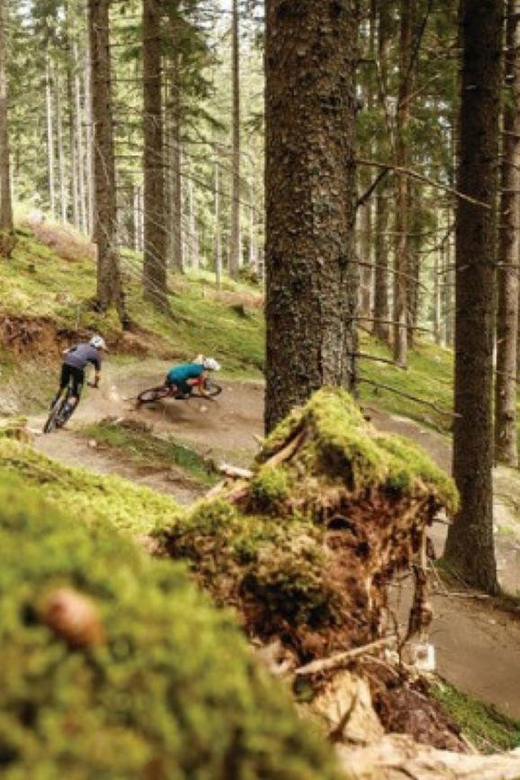 Innsbruck: Downhill Guiding Bike Park Innsbruck Activity Overview