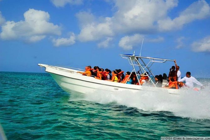 Isla Saona El Paraiso Del Caribe Included In The Tour