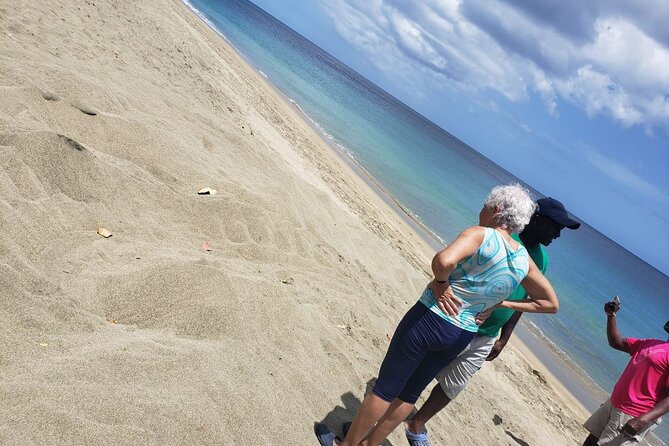 Island Tours Of Tobago Pickup And Accessibility