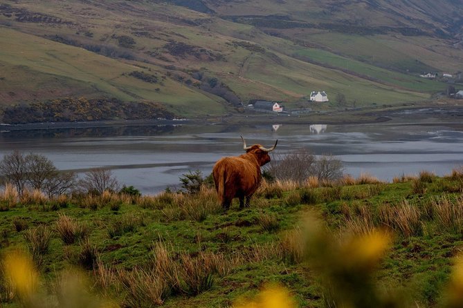 Isle Of Skye And The Fairy Pools Tour Tour Description