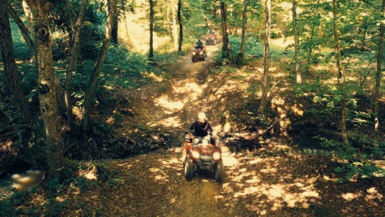 Istanbul: Belgrad Forest Atv Tour With Ziplining Option Tour Details