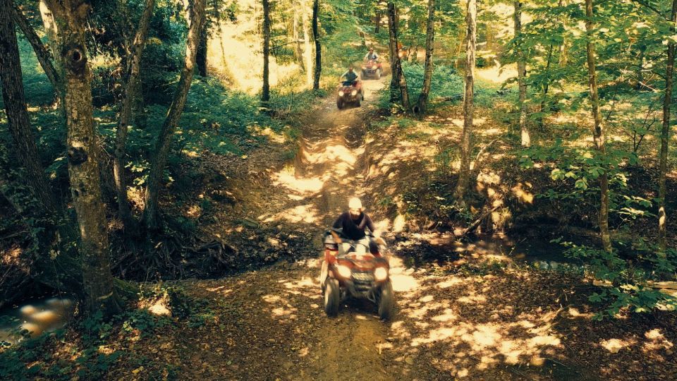 Istanbul: Belgrad Forest ATV Tour With Ziplining Option - Tour Details