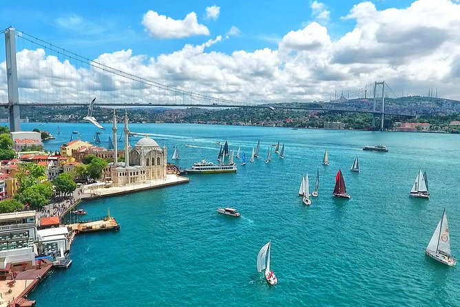 Istanbul Bosphorus Cruise and Audio Guide App - Overview of the Experience