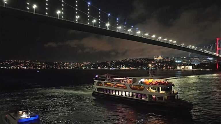 Istanbul: Bosphorus Dinner Cruise With Drinks & Turkish Show Overview Of The Bosphorus Cruise