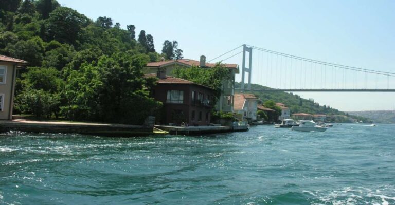 Istanbul: Bosphorus Sightseeing Boat Tour With Guide Tour Overview