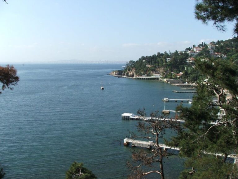 Istanbul: Day Trip To The Princes Islands Tour Details