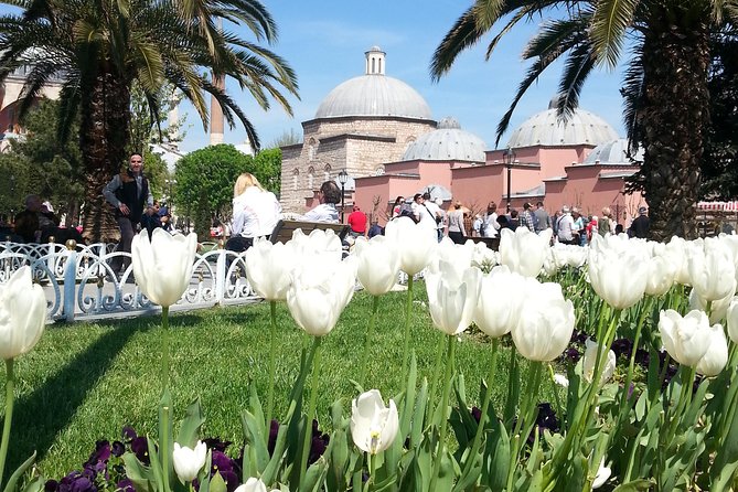 Istanbul Delights: A Journey Through Flavor And History Tour Overview And Highlights