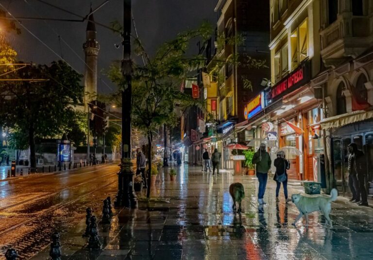 Istanbul: Istanbul Night Walking Tour Tour Overview