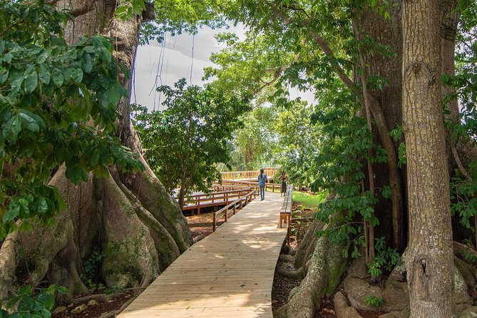 Jamaica Giants Sculpture Park, Art Galleries Overview Of Jamaica Giants