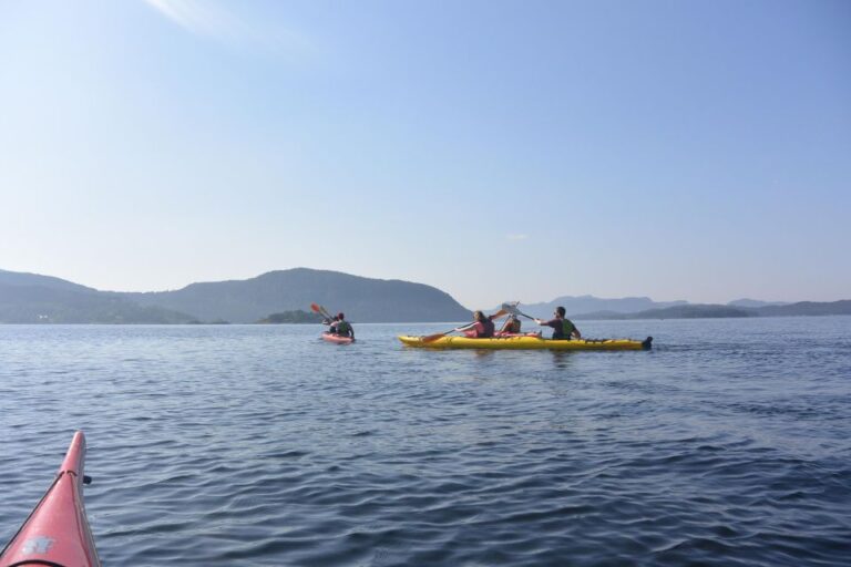 Jørpeland: Guided Fjordtour Kayak Included In The Tour