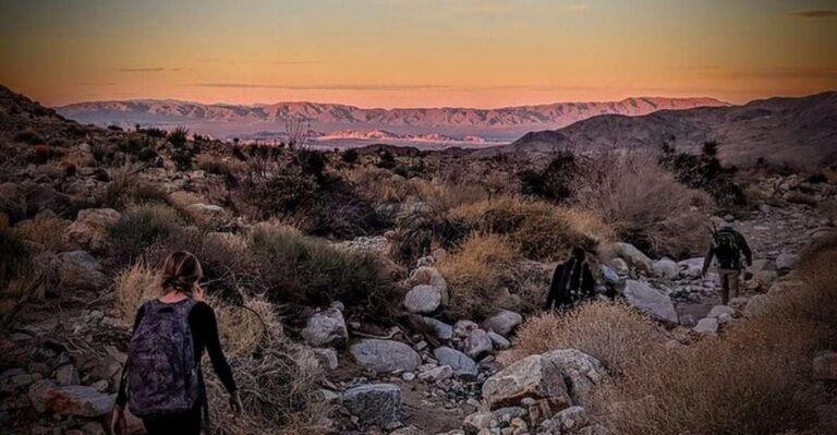 Joshua Tree: Half Day Private Hike Of The National Park Exploring The Parks Diverse Landscapes