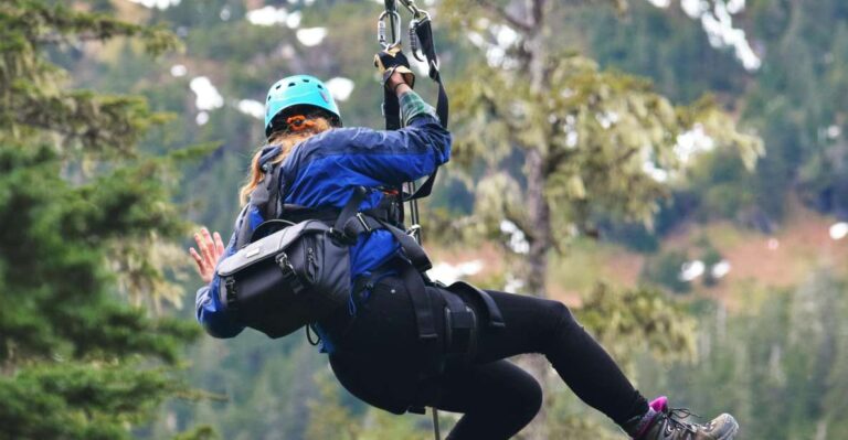 Juneau: Alpine Zipline Adventure Activity Overview