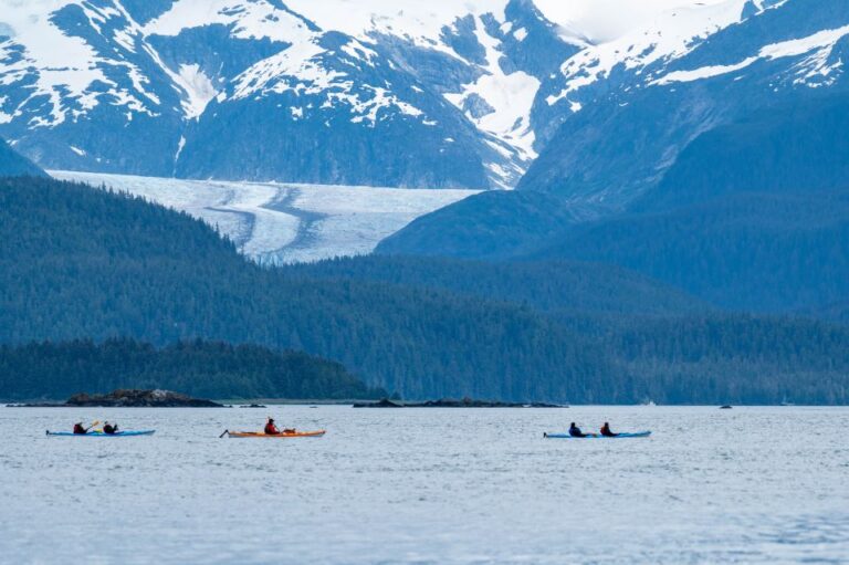 Juneau: Channel Islands Whale Watching Kayak Adventure Tour Overview