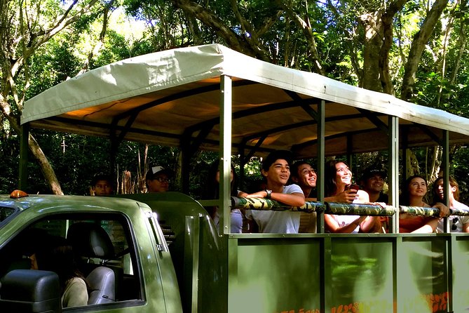 Jungle Expedition Tour At Kualoa Ranch Tour Overview