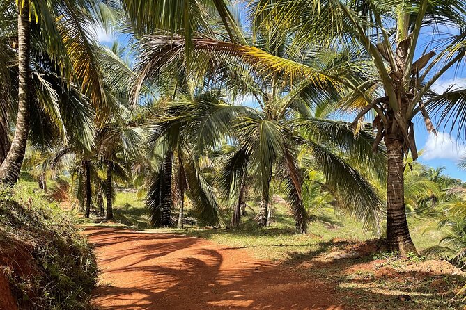 Jungle Rally Quad Exploring the Dominican Countryside - Whats Included