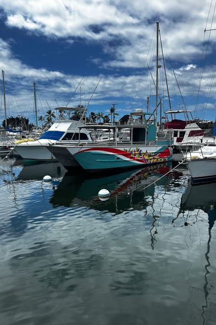 Kailua-Kona: Captain Cook Reef Catamaran Day Trip With Lunch - Activity Overview