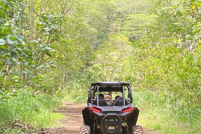 Kauai Atv Backroads Adventure Tour Tour Overview