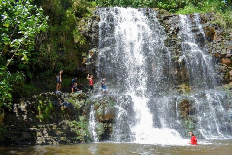 Kauai: Guided Hike And Waterfall Swim Activity Overview