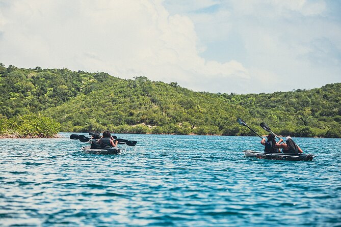 Kayak Eco Adventures Glass Kayak Nature and Snorkeling Tour - Inclusions and Amenities