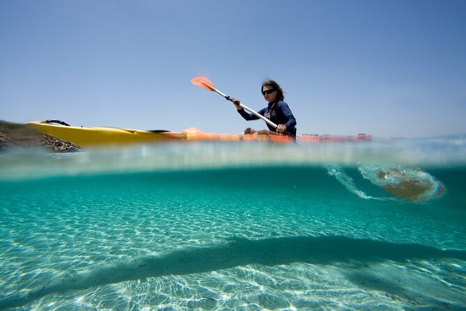 Kayak Tour And Snorkelling From Fornells Route Options