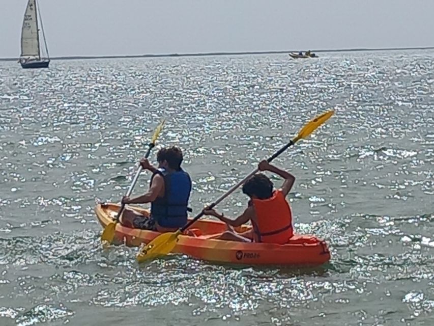 Kayak Tour in Ria Formosa - Olhão - Tour Overview