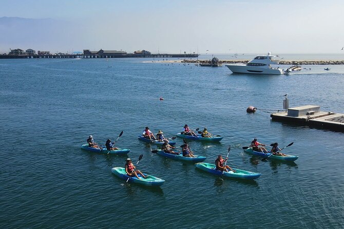 Kayak Tour Of Santa Barbara With Experienced Guide Overview Of Kayak Tour